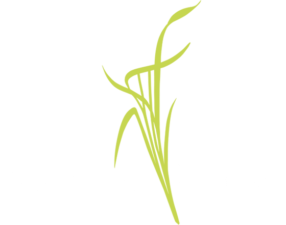 Sugaring Cane