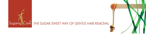 Training - Refresher