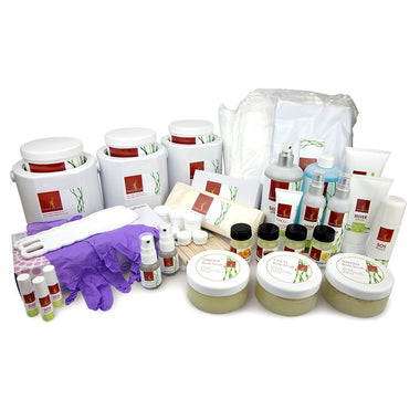 Professional Deluxe Set - everything you need to get started in your business - including retail products
